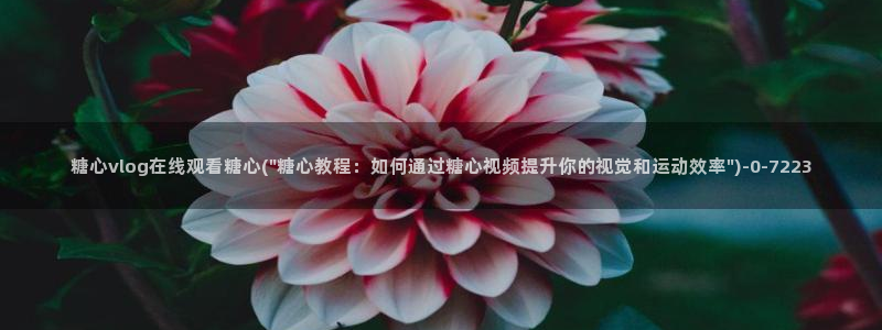 糖心精选：糖心vlog在线观看糖心(\