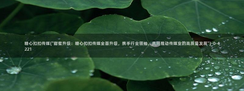 糖心n