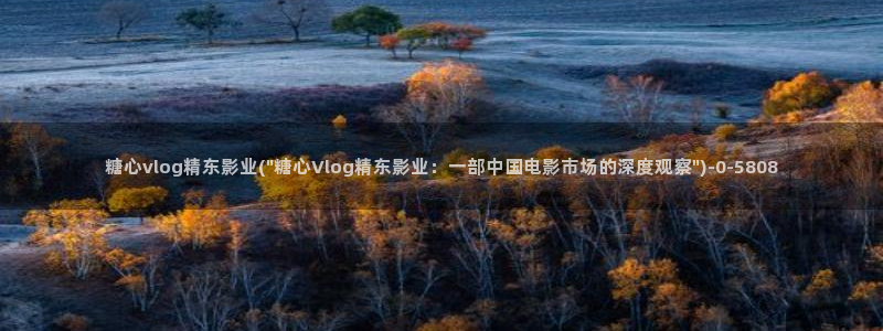 糖心.www
