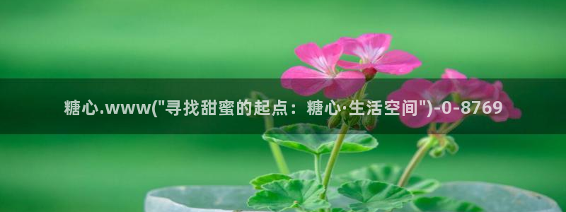糖心vlgo视频