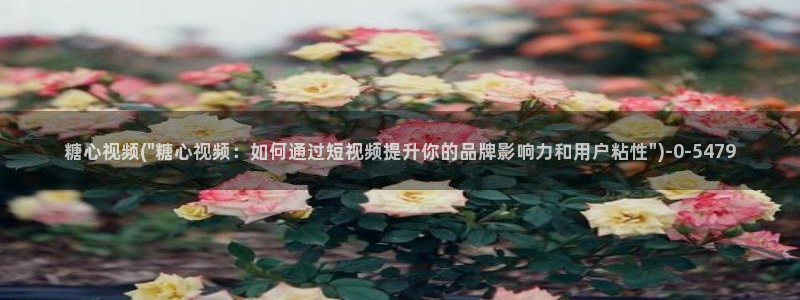 糖心viog官网：糖心视频(\